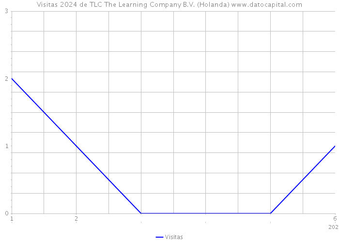 Visitas 2024 de TLC The Learning Company B.V. (Holanda) 