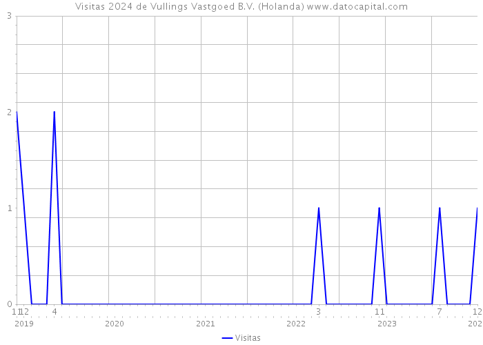 Visitas 2024 de Vullings Vastgoed B.V. (Holanda) 