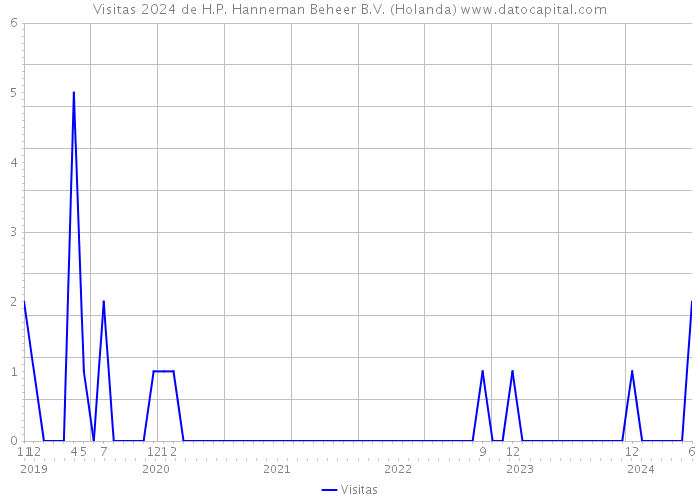 Visitas 2024 de H.P. Hanneman Beheer B.V. (Holanda) 