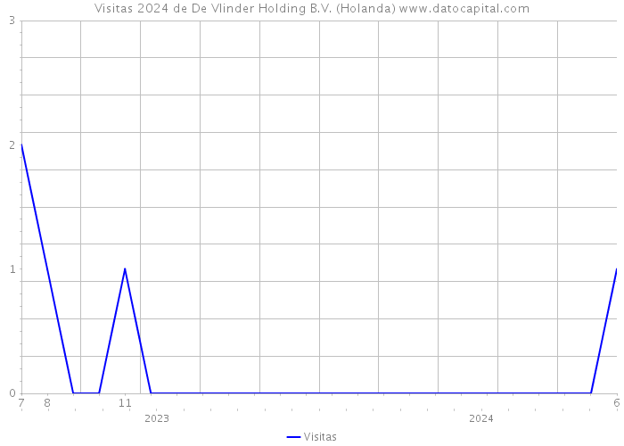 Visitas 2024 de De Vlinder Holding B.V. (Holanda) 