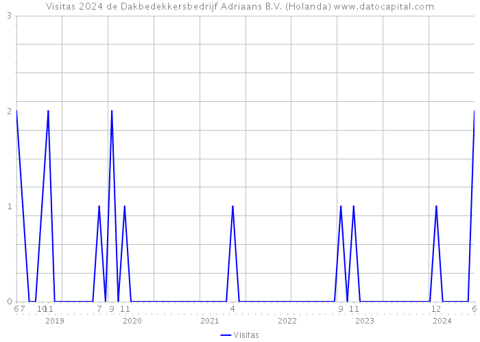 Visitas 2024 de Dakbedekkersbedrijf Adriaans B.V. (Holanda) 