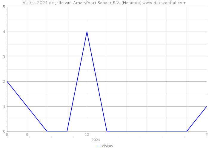 Visitas 2024 de Jelle van Amersfoort Beheer B.V. (Holanda) 