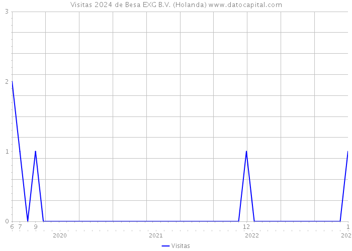 Visitas 2024 de Besa EXG B.V. (Holanda) 