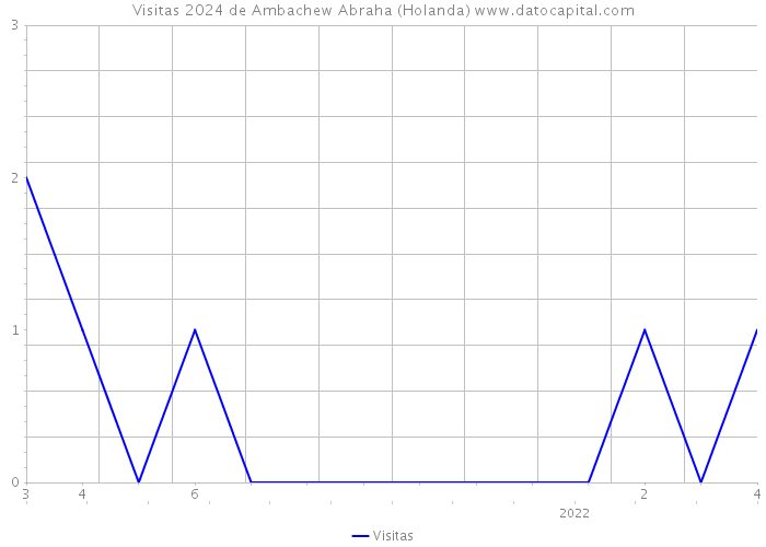 Visitas 2024 de Ambachew Abraha (Holanda) 