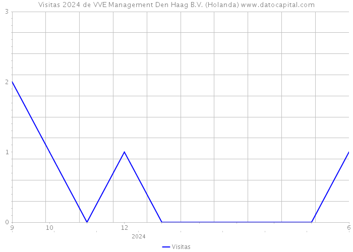 Visitas 2024 de VVE Management Den Haag B.V. (Holanda) 