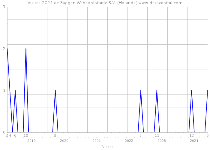 Visitas 2024 de Baggen Webexploitatie B.V. (Holanda) 