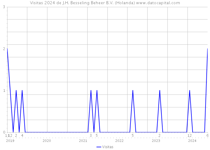 Visitas 2024 de J.H. Besseling Beheer B.V. (Holanda) 