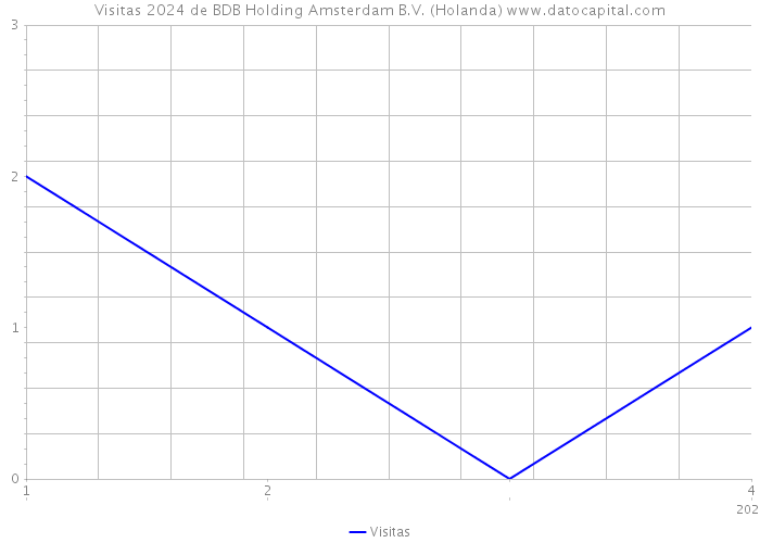 Visitas 2024 de BDB Holding Amsterdam B.V. (Holanda) 