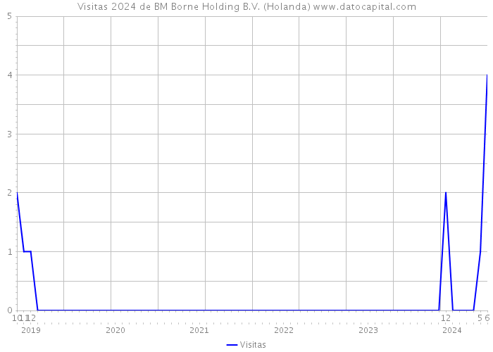 Visitas 2024 de BM Borne Holding B.V. (Holanda) 