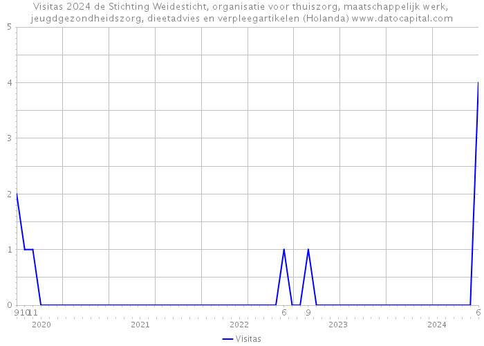 Visitas 2024 de Stichting Weidesticht, organisatie voor thuiszorg, maatschappelijk werk, jeugdgezondheidszorg, dieetadvies en verpleegartikelen (Holanda) 