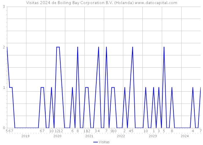 Visitas 2024 de Boiling Bay Corporation B.V. (Holanda) 