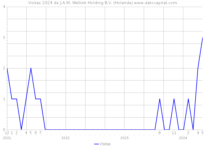 Visitas 2024 de J.A.M. Wellink Holding B.V. (Holanda) 