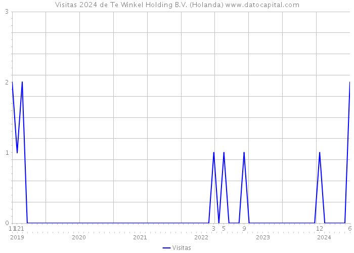 Visitas 2024 de Te Winkel Holding B.V. (Holanda) 