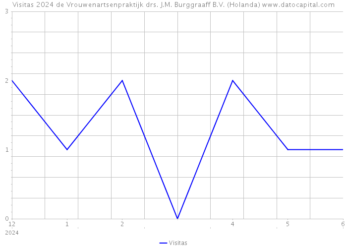 Visitas 2024 de Vrouwenartsenpraktijk drs. J.M. Burggraaff B.V. (Holanda) 