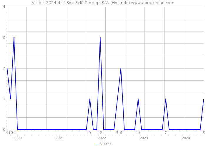 Visitas 2024 de 1Box Self-Storage B.V. (Holanda) 