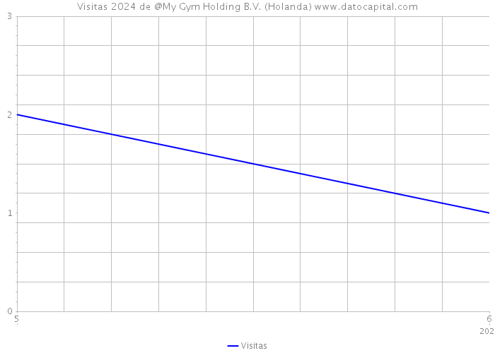 Visitas 2024 de @My Gym Holding B.V. (Holanda) 