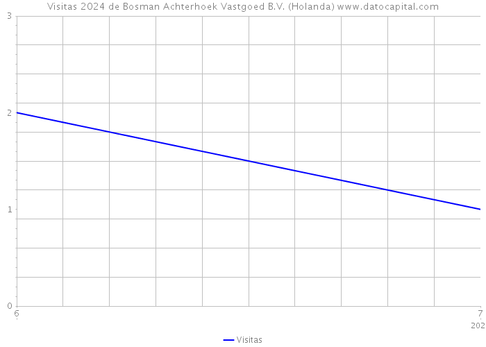 Visitas 2024 de Bosman Achterhoek Vastgoed B.V. (Holanda) 