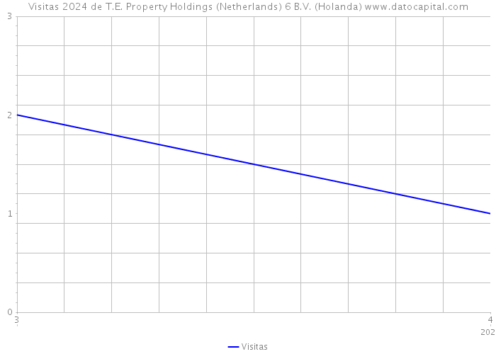 Visitas 2024 de T.E. Property Holdings (Netherlands) 6 B.V. (Holanda) 