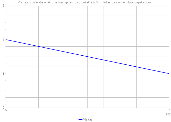 Visitas 2024 de woCom Vastgoed Exploitatie B.V. (Holanda) 