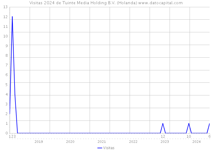 Visitas 2024 de Tuinte Media Holding B.V. (Holanda) 