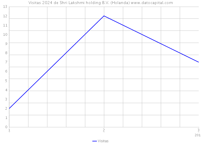 Visitas 2024 de Shri Lakshmi holding B.V. (Holanda) 