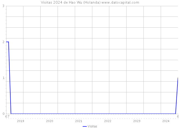 Visitas 2024 de Hao Wu (Holanda) 