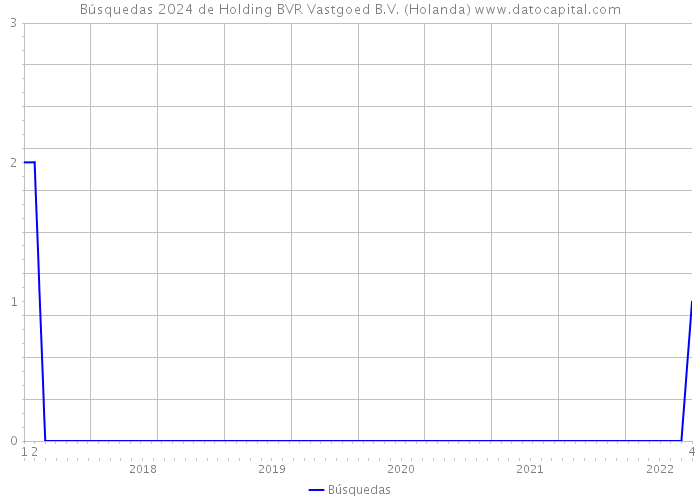 Búsquedas 2024 de Holding BVR Vastgoed B.V. (Holanda) 