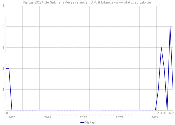 Visitas 2024 de Subliem Verzekeringen B.V. (Holanda) 