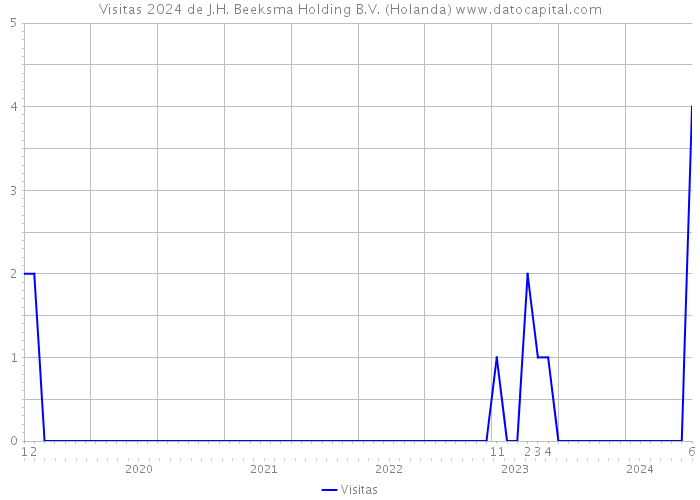Visitas 2024 de J.H. Beeksma Holding B.V. (Holanda) 