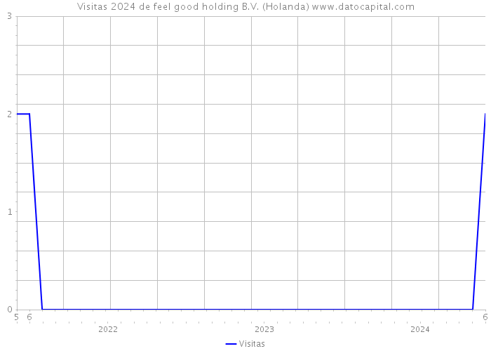 Visitas 2024 de feel good holding B.V. (Holanda) 