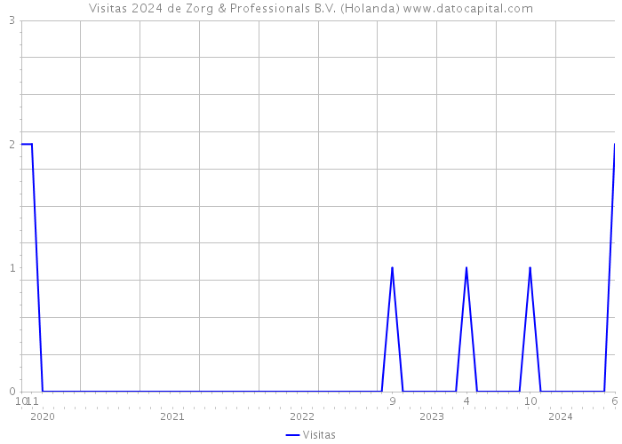 Visitas 2024 de Zorg & Professionals B.V. (Holanda) 