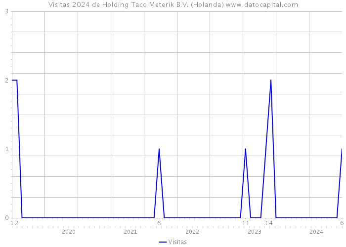 Visitas 2024 de Holding Taco Meterik B.V. (Holanda) 