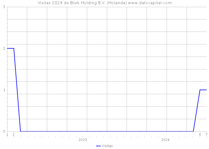 Visitas 2024 de Bliek Holding B.V. (Holanda) 