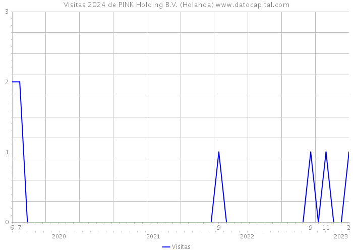 Visitas 2024 de PINK Holding B.V. (Holanda) 