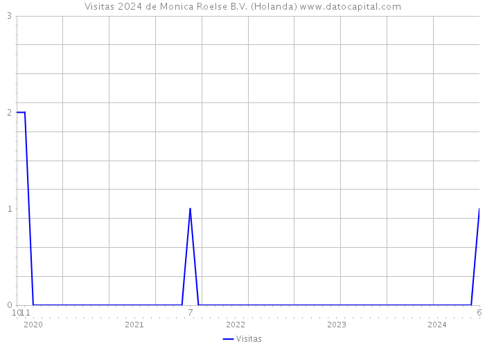 Visitas 2024 de Monica Roelse B.V. (Holanda) 