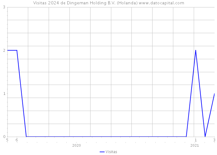 Visitas 2024 de Dingeman Holding B.V. (Holanda) 