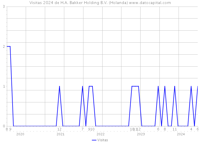 Visitas 2024 de H.A. Bakker Holding B.V. (Holanda) 