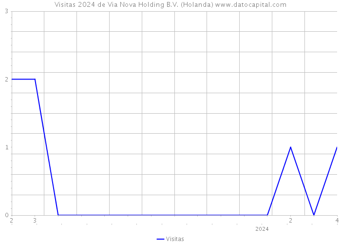 Visitas 2024 de Via Nova Holding B.V. (Holanda) 