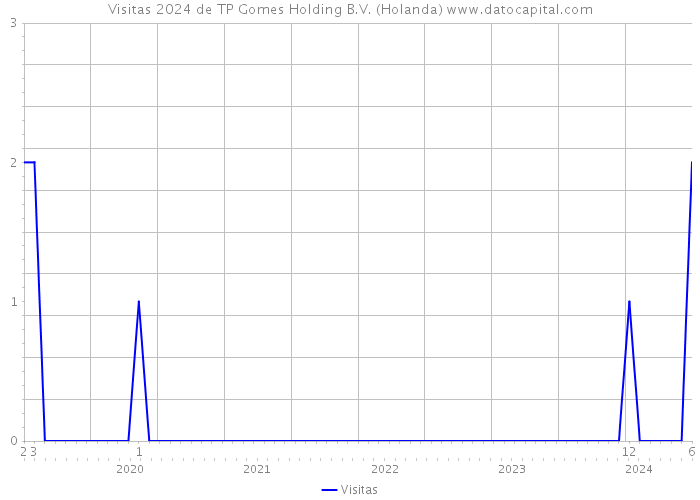 Visitas 2024 de TP Gomes Holding B.V. (Holanda) 