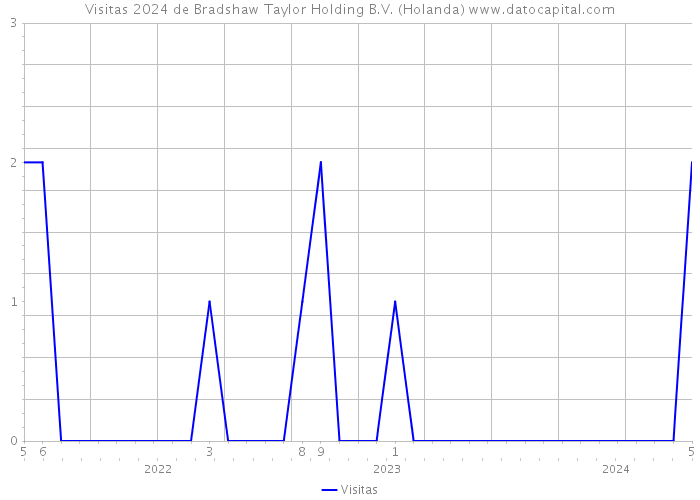 Visitas 2024 de Bradshaw Taylor Holding B.V. (Holanda) 