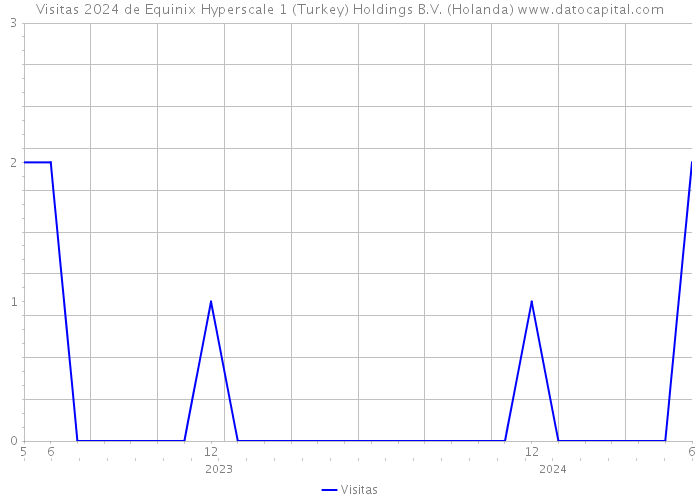 Visitas 2024 de Equinix Hyperscale 1 (Turkey) Holdings B.V. (Holanda) 