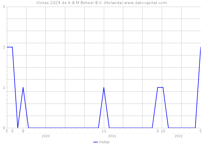 Visitas 2024 de A & M Beheer B.V. (Holanda) 