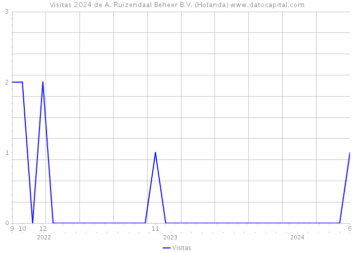 Visitas 2024 de A. Ruizendaal Beheer B.V. (Holanda) 