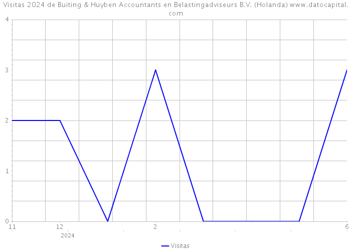 Visitas 2024 de Buiting & Huyben Accountants en Belastingadviseurs B.V. (Holanda) 