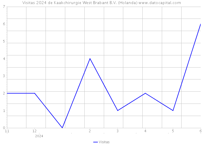 Visitas 2024 de Kaakchirurgie West Brabant B.V. (Holanda) 