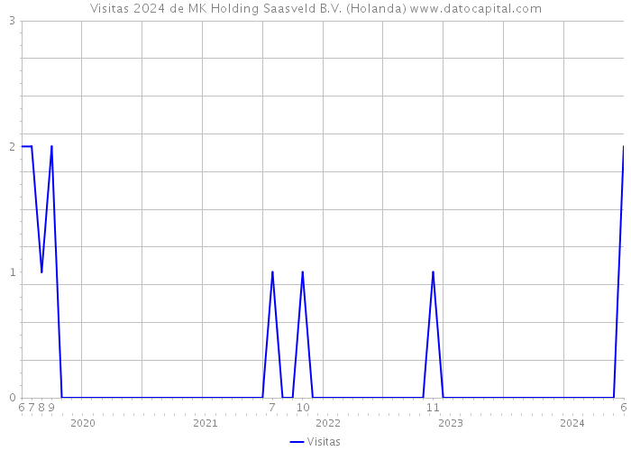 Visitas 2024 de MK Holding Saasveld B.V. (Holanda) 