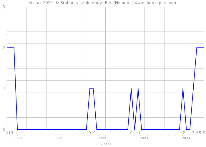 Visitas 2024 de Brabants Keukenhuys B.V. (Holanda) 