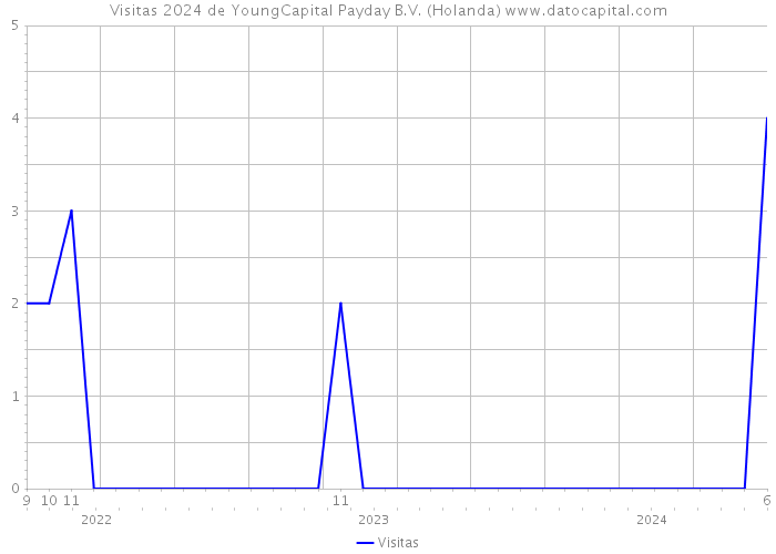 Visitas 2024 de YoungCapital Payday B.V. (Holanda) 