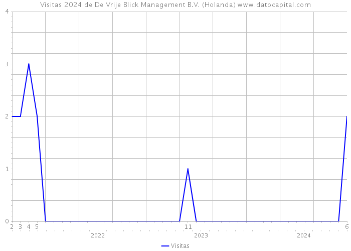 Visitas 2024 de De Vrije Blick Management B.V. (Holanda) 