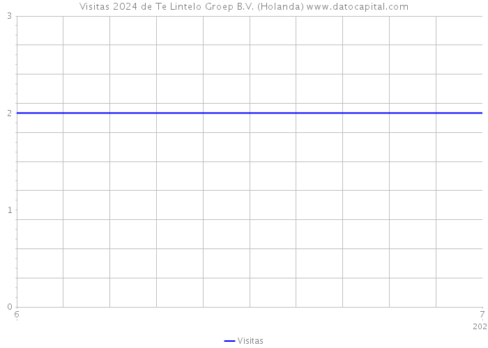 Visitas 2024 de Te Lintelo Groep B.V. (Holanda) 